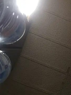 zaneporter46 online show from 02/16/26, 05:36