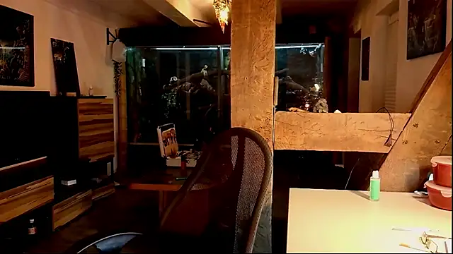 DYasmin69 online show from 11/01/25, 08:55