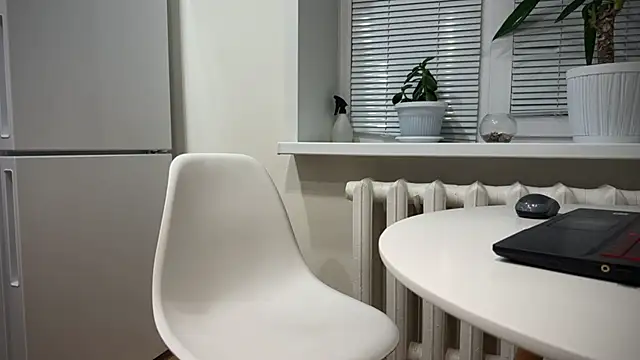 Snapshot of BrendanSilvers chatting on 12/25/24, 11:20 BrendanSilvers online show from 12/25/24, 11:20