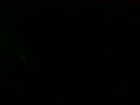 PureNude online show from 02/24/25, 11:19