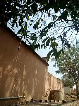 carria homes online show from 03/14/25, 09:14