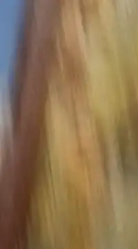 mksharma-mastlund online show from 01/21/25, 03:48