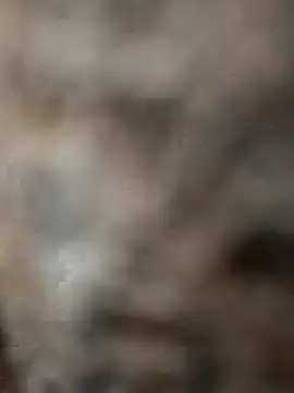 mksharma-mastlund online show from 01/24/25, 04:05