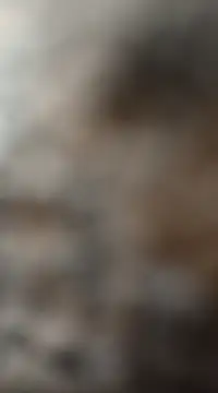 mksharma-mastlund online show from 01/27/25, 03:47