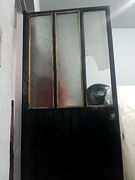 chinoxxx online show from 04/26/26, 05:21