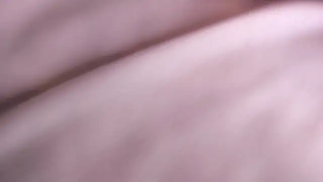 MarcoVitto online show from 11/24/25, 07:46