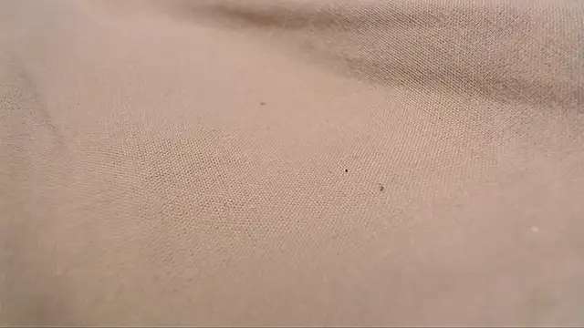 Lona-s online show from 04/08/26, 11:21