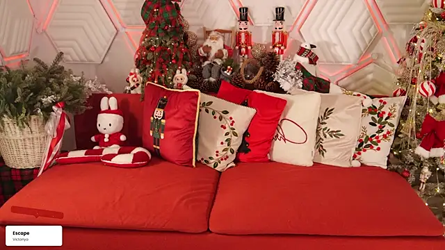 taanni bc online show from 01/15/26, 07:39