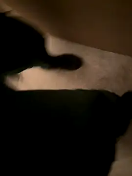 Snapshot of atoy3333 chatting on 09/17/25, 03:46 atoy3333 online show from 09/17/25, 03:46