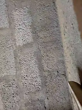 Snapshot of ruthaa chatting on 02/28/26, 08:15 ruthaa online show from 02/28/26, 08:15