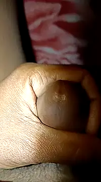 biharihot online show from 01/12/25, 05:44