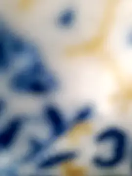 Tamil Vishalini online show from 12/29/24, 07:22