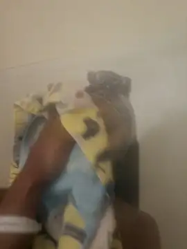 Snapshot of Looking4Jerries chatting on 12/31/24, 06:48 Looking4Jerries online show from 12/31/24, 06:48