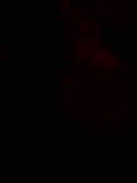 Leefin09 online show from 01/31/26, 10:08