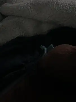 chupesex online show from 03/14/25, 05:16