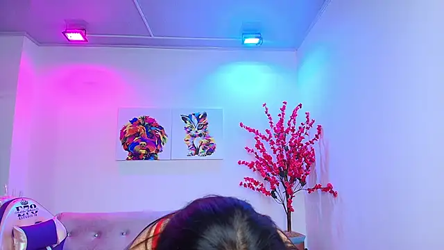 Arianna sweeet online show from 02/11/25, 06:51