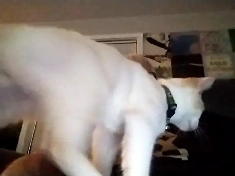 Futura intx online show from 09/12/25, 01:17