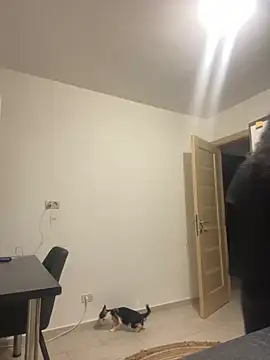 NNNoire online show from 09/26/25, 10:41