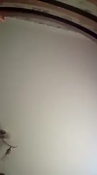 Lauren Amabel online show from 03/16/25, 07:04