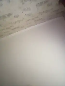 Lauren Amabel online show from 10/12/25, 08:02