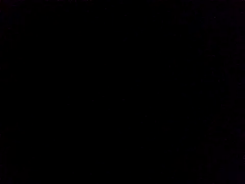 Lauren Amabel online show from 11/24/25, 08:14