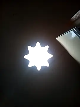 Lauren Amabel online show from 01/31/26, 07:11