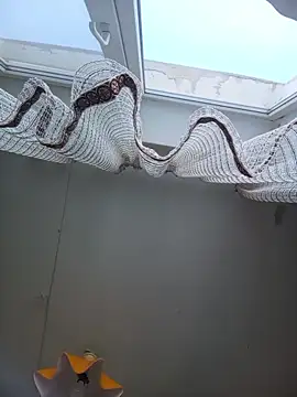 Lauren Amabel online show from 02/22/26, 08:24