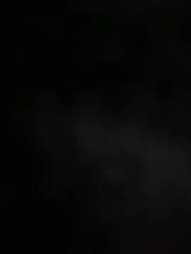 mdnn77 online show from 02/19/25, 08:33