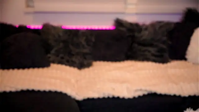 Snapshot of sweet_rapunzell chatting on 02/06/26, 12:59 sweet rapunzell online show from 02/06/26, 12:59