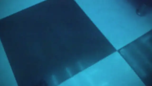 TaniaBellini online show from 01/11/25, 06:44