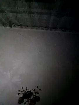 AlexKr95 online show from 01/09/25, 06:57