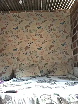 PretinhaOfc online show from 01/12/25, 07:10