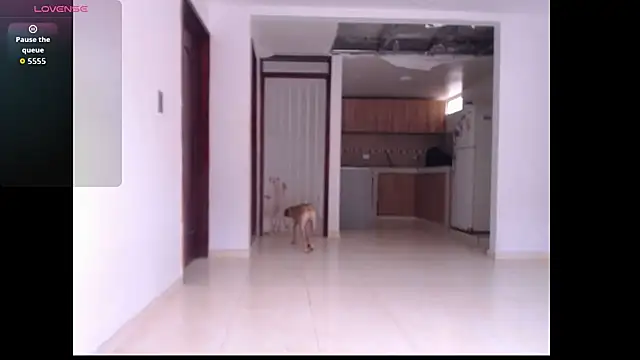 leslycarsson online show from 10/07/25, 07:11