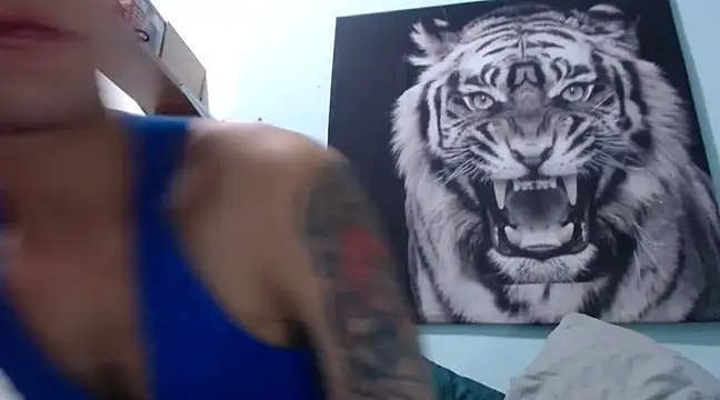 dany hardy online show from 02/04/25, 04:15