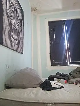 dany hardy online show from 02/22/26, 05:55