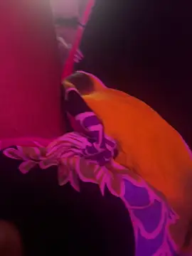 Snapshot of Lilymoonshow chatting on 03/17/25, 07:02 Lilymoonshow online show from 03/17/25, 07:02