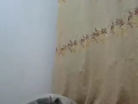 Sr JakoXXXX online show from 02/20/25, 07:55