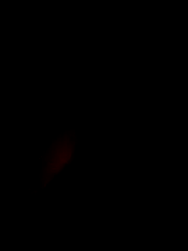 Snapshot of xxxxGuruxxxx chatting on 03/10/25, 06:38 xxxxGuruxxxx online show from 03/10/25, 06:38