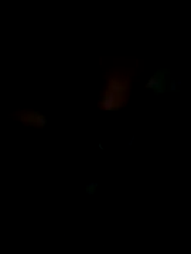 KisSsu online show from 01/09/26, 04:32