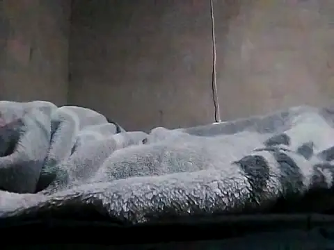 LaneYam online show from 03/24/26, 08:03