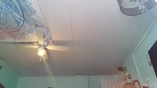 hunybunz69 online show from 02/28/25, 06:31