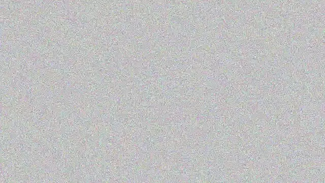 Snapshot of Elsa-bad chatting on 02/22/25, 11:24 Elsa-bad online show from 02/22/25, 11:24