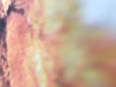 Snapshot of riri_riri_jp chatting on 12/16/25, 10:09 riri riri jp online show from 12/16/25, 10:09