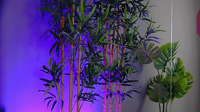 PatriciaSpice online show from 11/09/25, 05:28