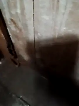 Snapshot of Raj41 chatting on 09/20/25, 01:39 Raj41 online show from 09/20/25, 01:39