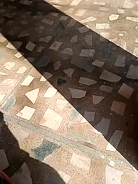 Snapshot of Raj41 chatting on 11/13/25, 04:44 Raj41 online show from 11/13/25, 04:44