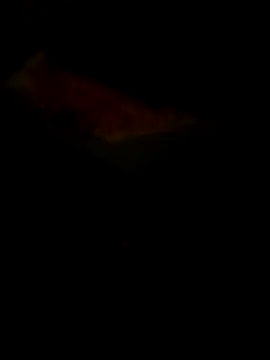 Raj41 online show from 03/30/26, 05:36