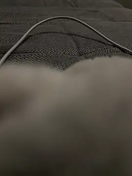 hengst2312 online show from 01/20/25, 06:10