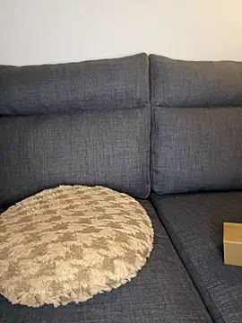 Lobna-alami online show from 02/11/25, 11:54