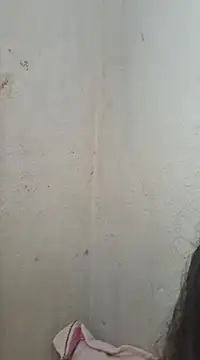 novinhatransexy online show from 02/11/25, 06:01